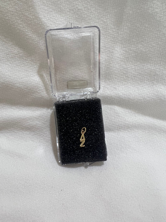 Delta Zeta 10k Gold Lavalier