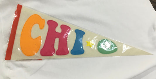 Chi Omega Pennant Flag